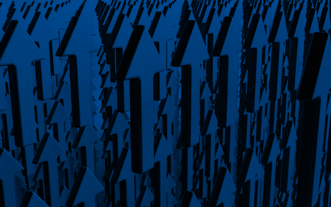 StatPro maintains momentum