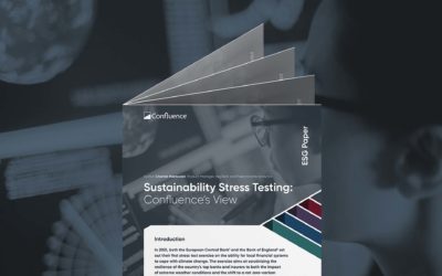 ESG Sustainability Stress Testing
