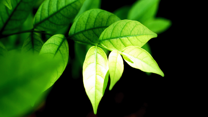 Callaway climate insights: The great ESG fund cull of 2023 is upon us