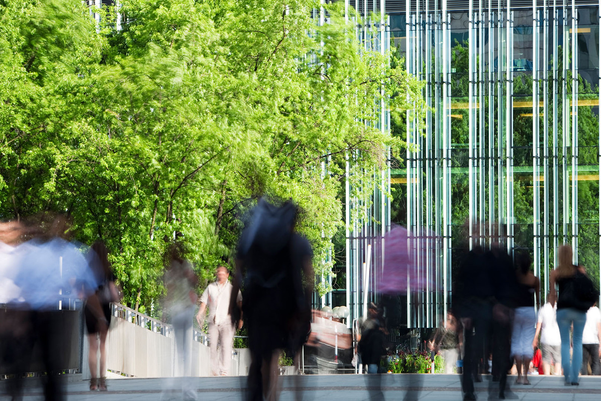 Citywire: This is what SFDR should have done. Investors back UK regulator’s greenwashing rules