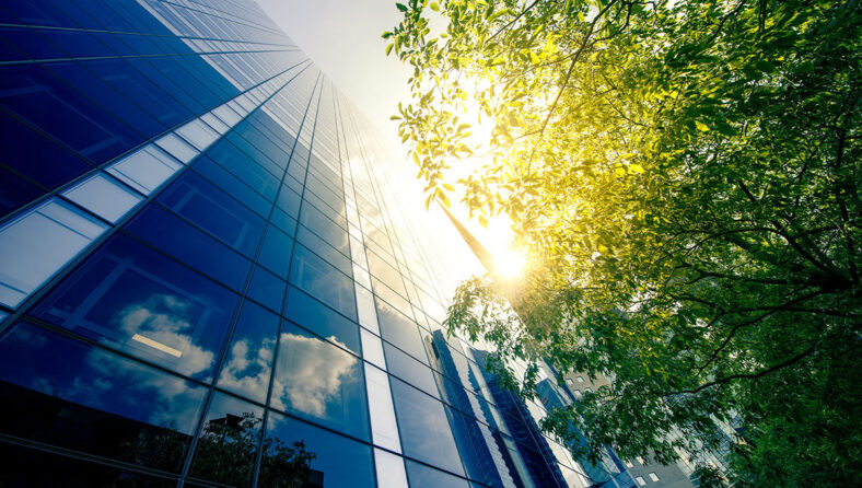 SDR: A regulatory saviour?