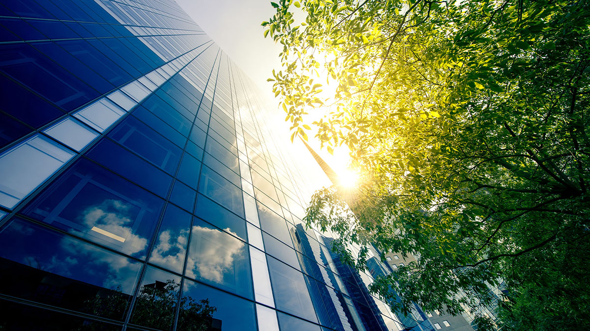 SDR: A regulatory saviour?