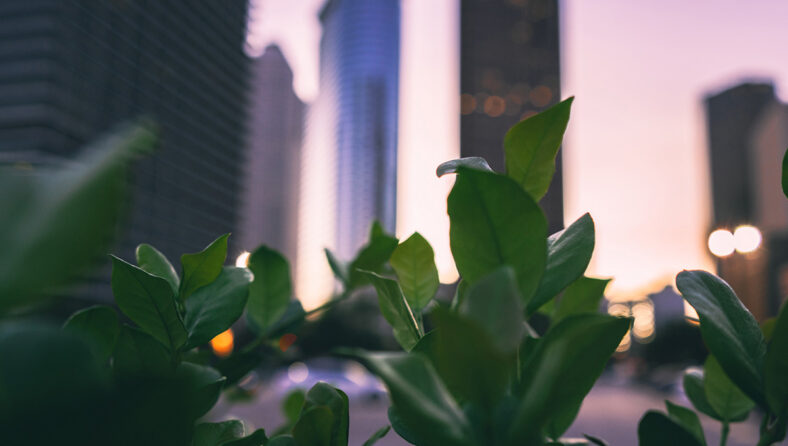 Thomson Reuters: ESG reporting for financial institutions: What is in store for 2023?