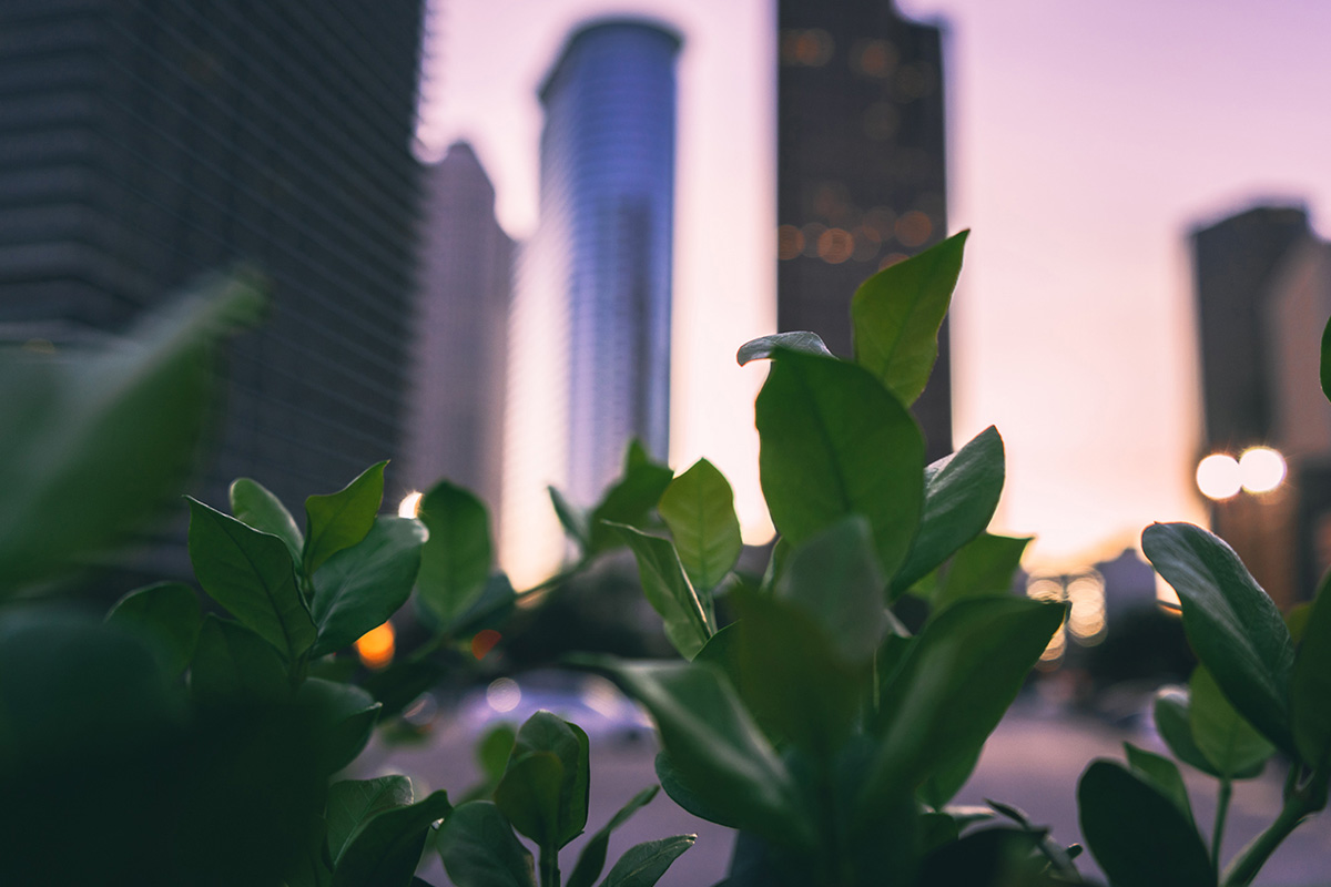 Thomson Reuters: ESG reporting for financial institutions: What is in store for 2023?