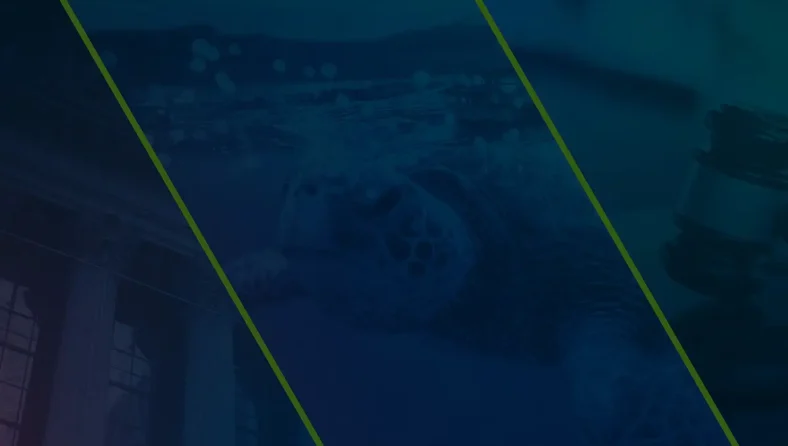 Rule 13f-2 and Form PF deadline extensions; Redefining UK retail disclosures; Data Insights: biodiversity, ultra-long bonds, tariffs