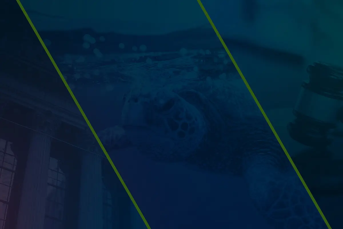 Rule 13f-2 and Form PF deadline extensions; Redefining UK retail disclosures; Data Insights: biodiversity, ultra-long bonds, tariffs