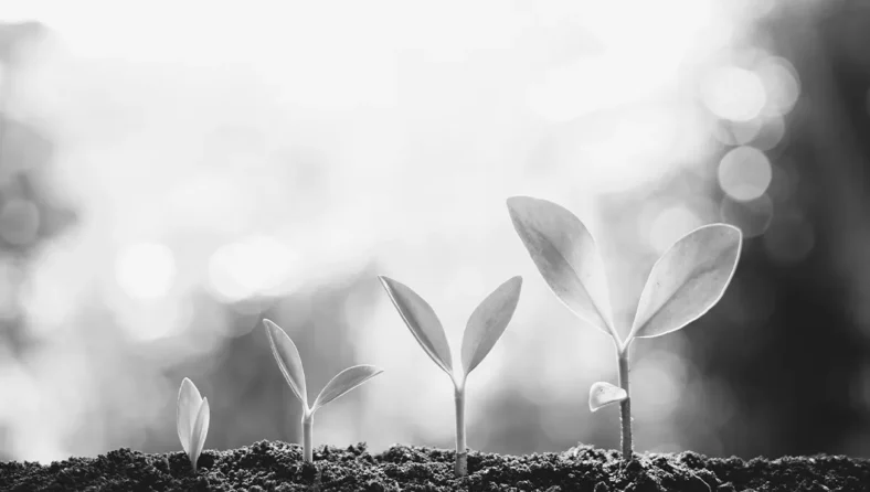 Operations incorporating climate/ESG disclosures into your investment operations