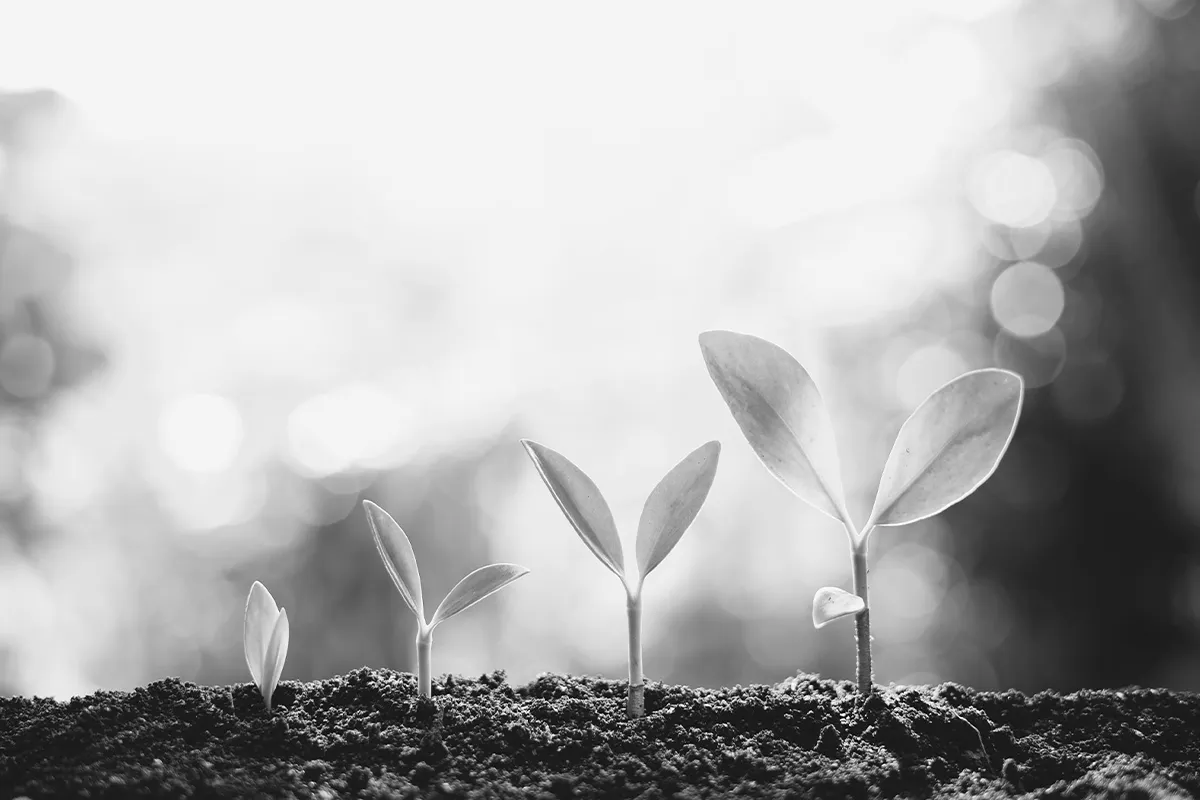 Operations incorporating climate/ESG disclosures into your investment operations