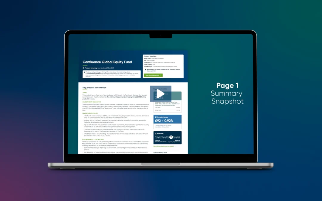 CCI product summary template overview