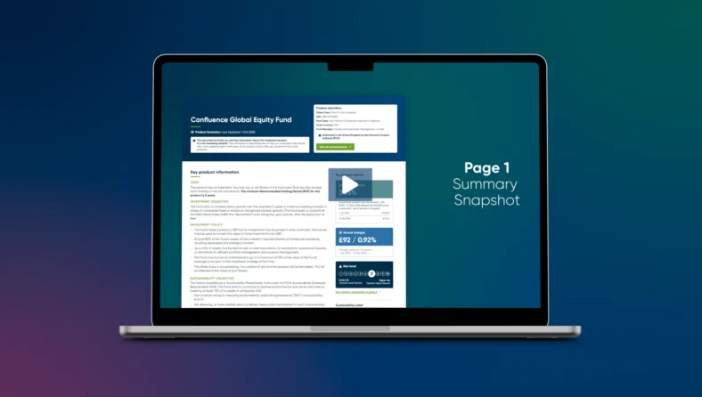 CCI product summary template overview